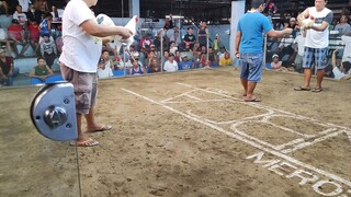 tony backyard two hits