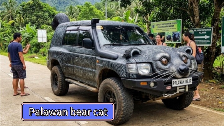 Palawan bear cat at bohol island