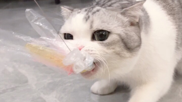 Lần này thực sự đã yêu rồi