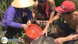 Mò Tôm Nấu Canh Chua Bông Súng - Cơm Bụi Ngoài Vườn | Hội Ngộ Miền Tây - Tập 516