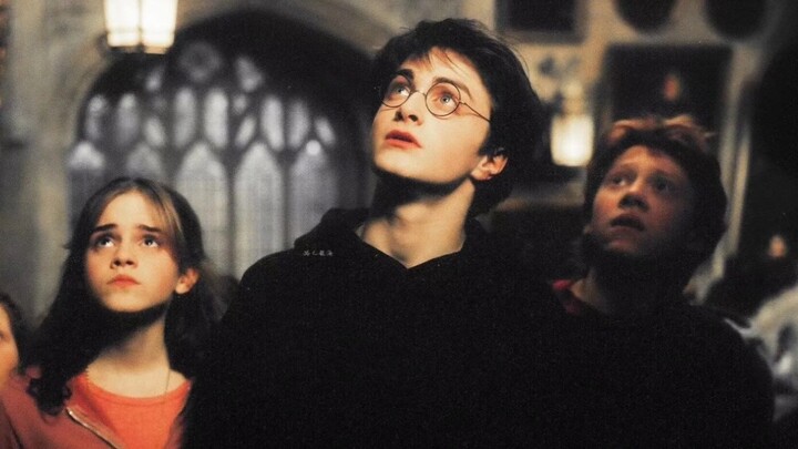 [Harry Potter | Abuse] "The savior's life is constantly losing"