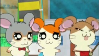 Tottoko Hamtaro Hai! - 01 Dub Indo