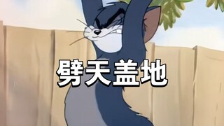 猫和老鼠 高燃瞬间 搞笑猫