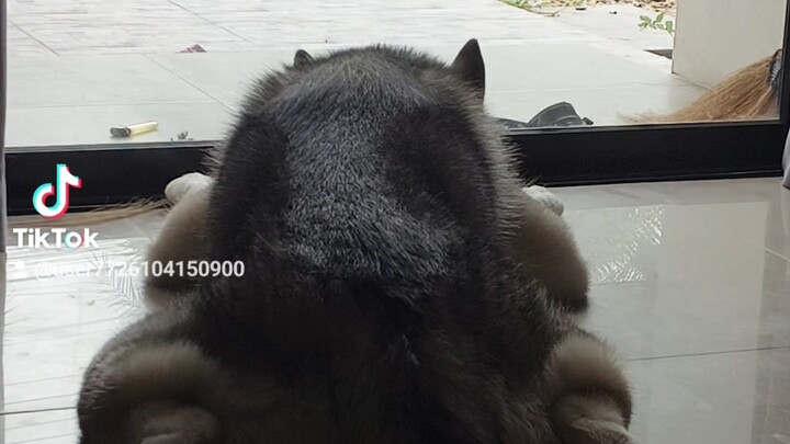 เศร้า