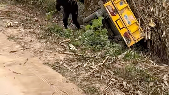 อันนี้ฉันขำจริงๆ!