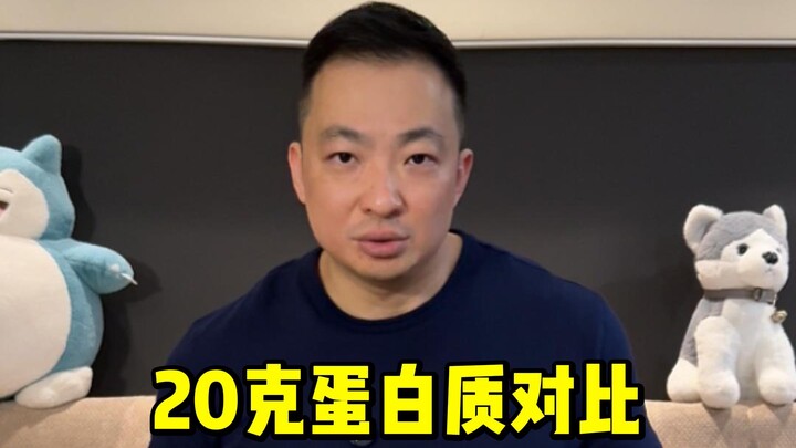 Food Comparison: 20g of Protein Contained