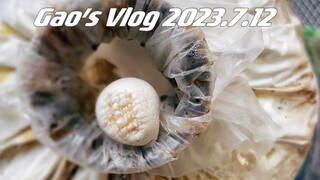 Growing Mushrooms at Home 5.0! The follow-up to Fried Mushrooms is here!