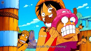 Chopper Oneshot Sanji và Luffy