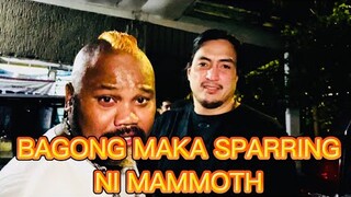 MAMMOTH MAY BAGO NANG KA SPARRING PARA LABAN NILA NI BRANDON?