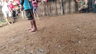 daming paalo di makatama