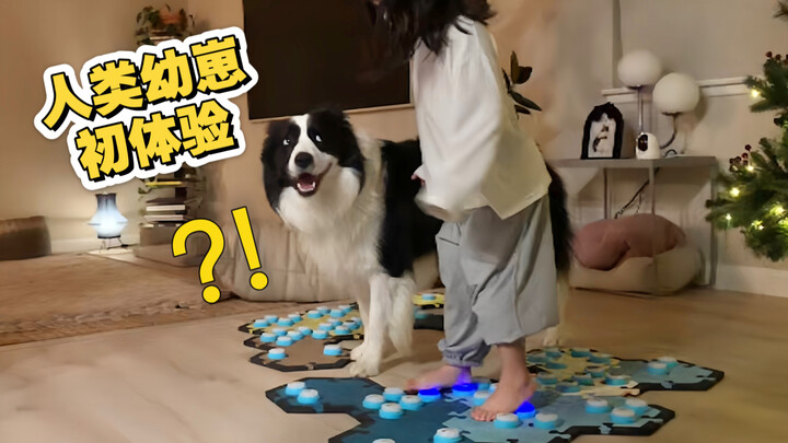 Pengalaman Pertama Bayi Manusia dengan Anak Anjing BUN
