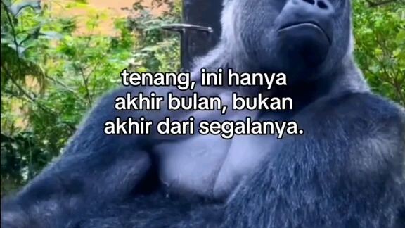 kapusing pasti mengikuti