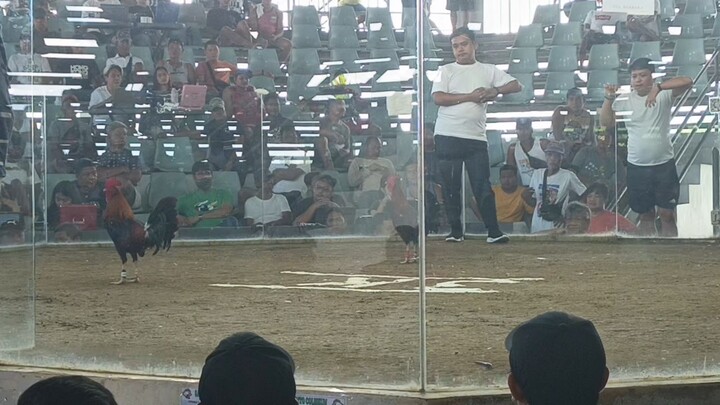 san Jacinto Coliseum 1st entry 1st fyt talo!