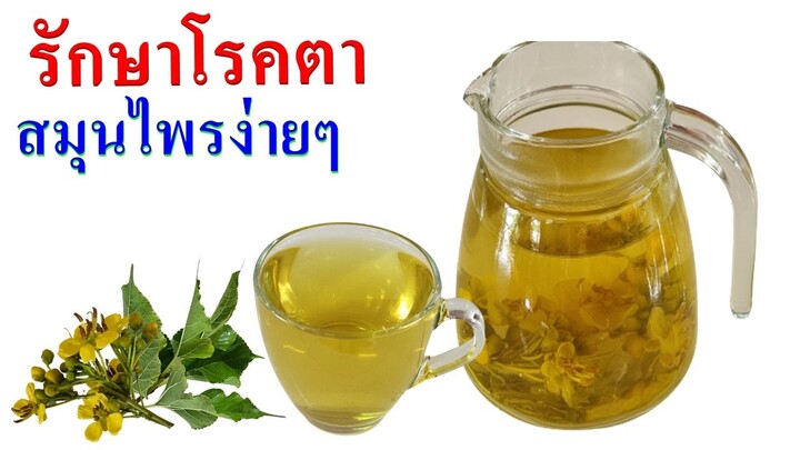 🍷ยายของฉันใส่สูตรนี้  👍 เวลาตาแห้ง  ตาแฉะ  ตาพร่ามัว อยู่หน้าคอมนาน |สมุนไพรไทยง่ายๆ
