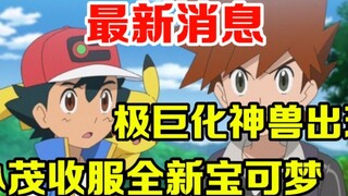 ข่าวด่วน: เซียวเหมาพิชิตโปเกมอนตัวใหม่ได้แล้ว!