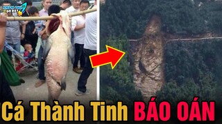 ✈️ 8 Hiện Tượng Tiên Tri Huyền Bí Và Báo Ứng Linh Nghiệm Thật Đáng Sợ | Khám Phá Đó Đây