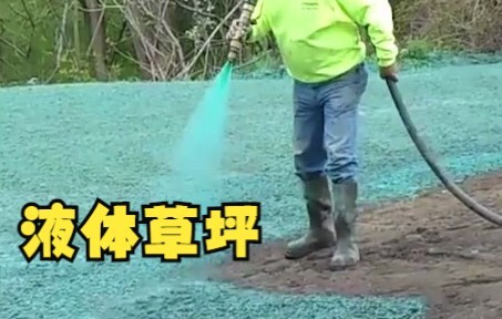 Rumput yang semprotkan keluar, penanamannya semudah menyiram air