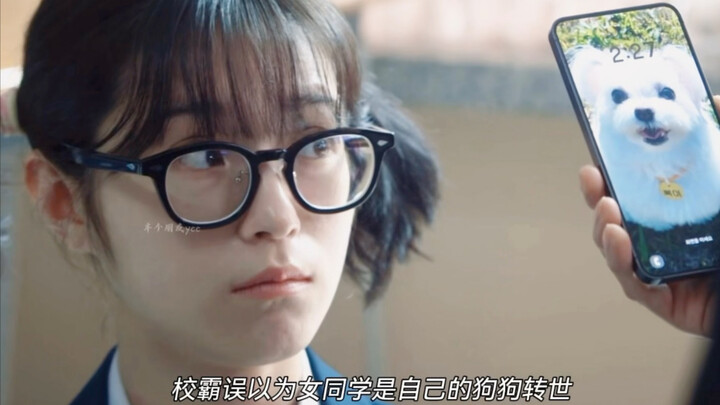 这算不算狗子包办婚姻哈哈哈哈哈？🐶💍坏习惯？校霸通通改掉！谁让他是宠物脑哈哈哈哈笑大发了！！本世纪最野红娘即将出道！🏃‍♀️💨（谁懂啊！前几集嗑