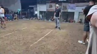 2 Cock derby @Talamban arena 2nd fight win 2/2
