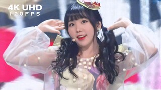 [4K 120 Fps] Bản Tổng Hợp "Catallena" Của Orange Caramel Mượt Nhất