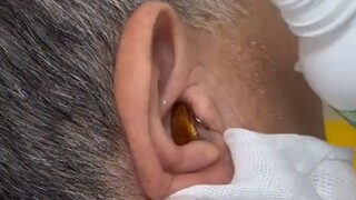 ذيل الحصان التوأم في قوانغدونغ