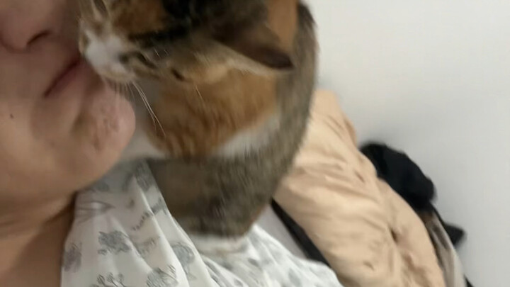 猫都有这种小癖好吗？