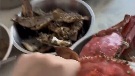 Special effects little girl wandering outside for three days vlog ~