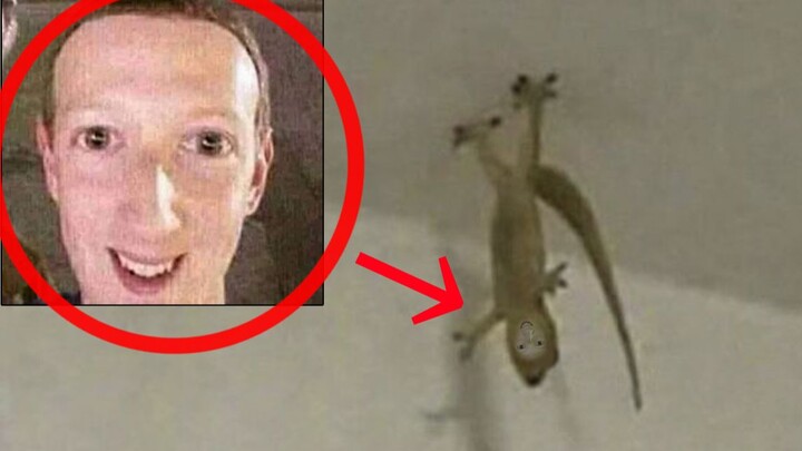 🦎 مغامرات رجل السحلية 💀