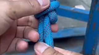 King of Knots