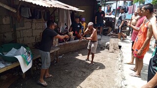 Holyweek Tupada (talisayin vs pula kanan tari)