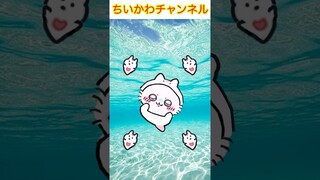 【ちいかわ】きらっきら