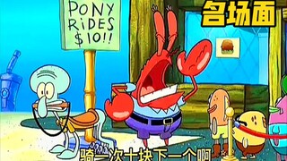 ⚡️章 鱼 哥 的 苦 逼 人 生⚡️（二）
