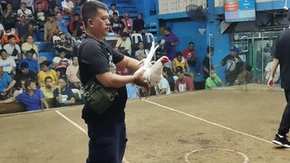 Mandaluyong Cockpit 2 cock ulutan Champ 2nd fight