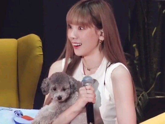 [Kim Taeyeon] Zero: Oh no, someone’s trying to usurp the throne