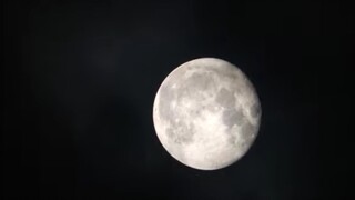 月落乌啼霜满天，江枫渔火对愁眠