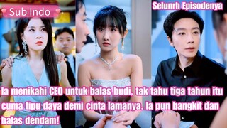 Menikahi CEO Untuk Balas Dendam Tapi Dia Malah Hamil Anak Ceo Itu