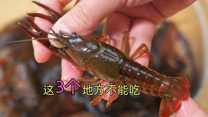 Only today did I find out that you shouldn't eat these 3 parts of crayfish—they're dirty and smelly.