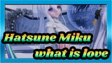 Hatsune Miku|ã€MMDã€‘what is love