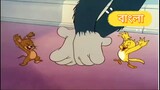Tom And Jerry Bangla Mouse Kitty Foiled | Official Bangla Dubbed