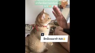 จะลองฝึกดูบ้างนะคะ