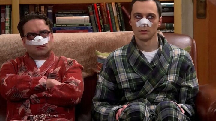 [The Big Bang Theory] My ears really love Lai Dai