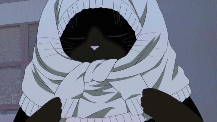Knowing that the heroine missed him, the big cat fell instantly and made such a shy move...