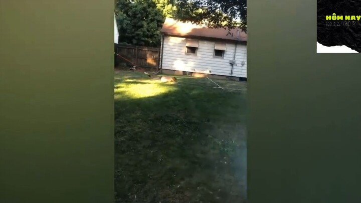 Cười mỗi ngày cùng tôi ! #videohaihuoc