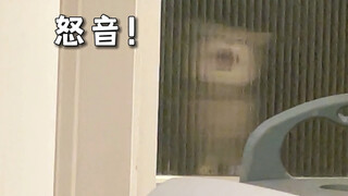 开小灶被发现了