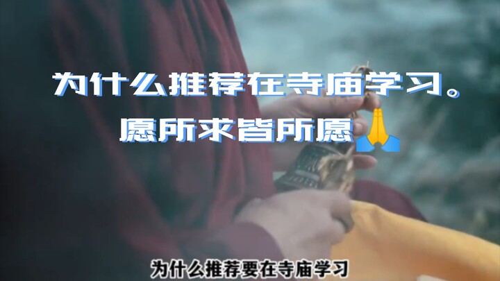 Why I recommend studying at a temple: I’ve shared the temples I love with everyone.