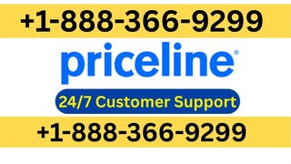 Full ™️ List of official Frontier Airlines™️CUSTOMER ® SERVICE Contact Numbers in US : The Step by S