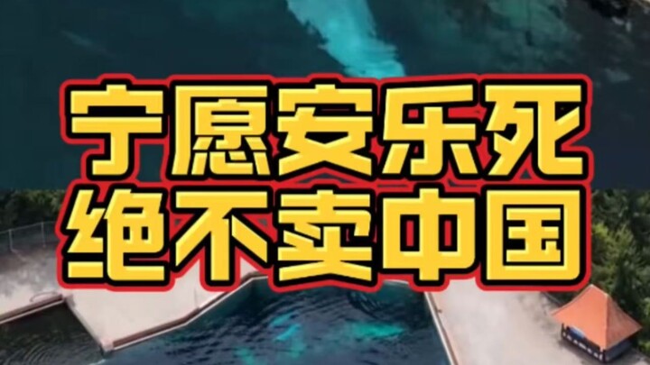 วาฬเบลูกา 30 ตัวในแคนาดาขอการุณยฆาตก่อนยอมขายให้จีนเหรอ?