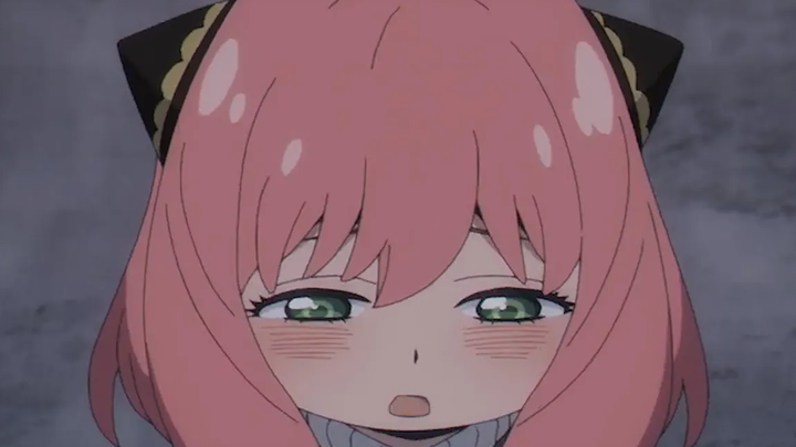 อัญญาขอโทษยอร์ด้วยเหตุผลสองประการ