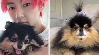 V đã trả lời ngay sau khi nhìn thấy chị gái sinh đôi của Yeontan