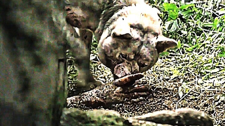 Tại sao cảnh quay này lại trở thành một trong những phân đoạn gây phẫn nộ và suy sụp nhất trong lịch